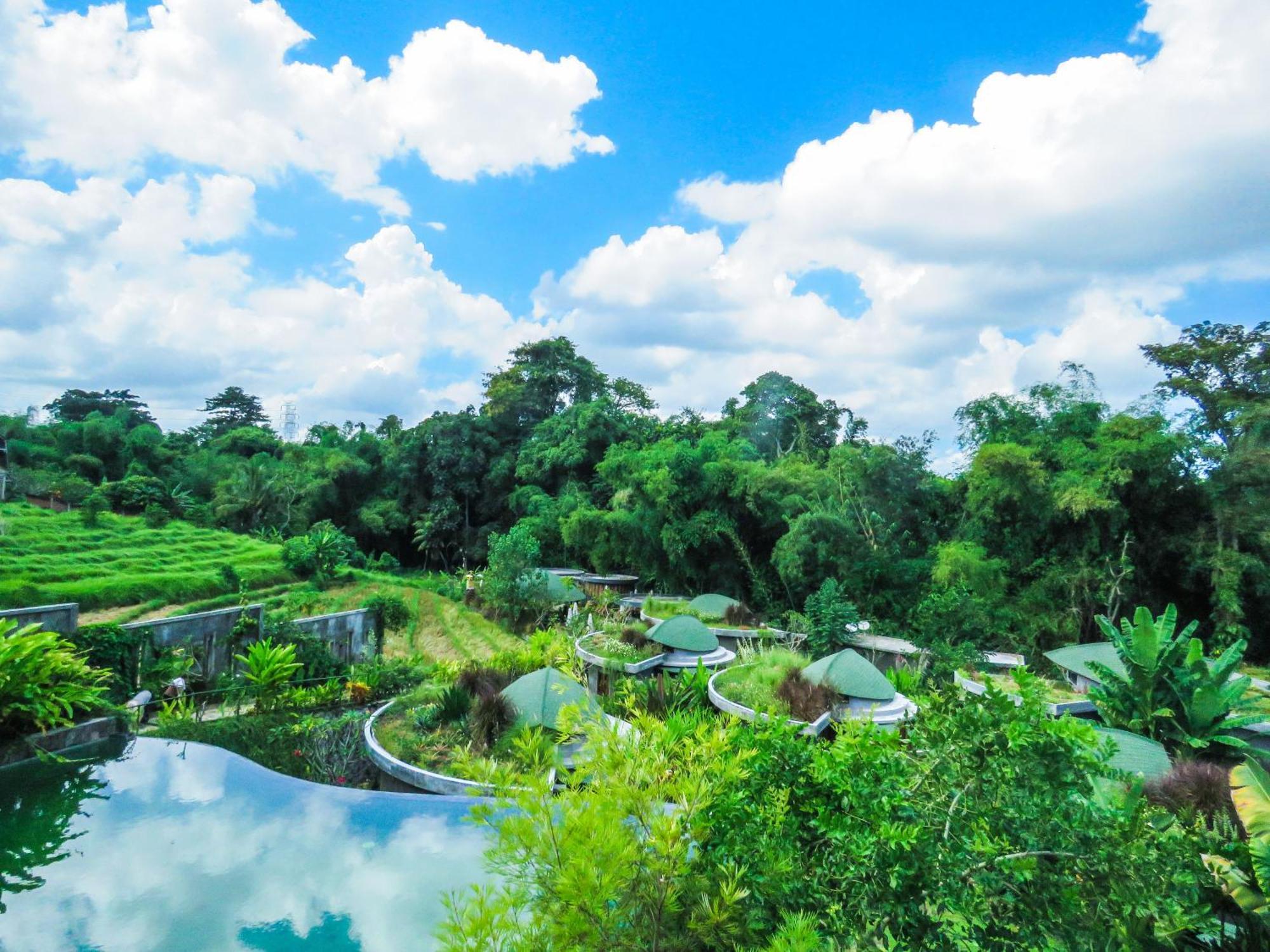 De Moksha Eco Friendly Boutique Resort Tanah Lot Pokój zdjęcie