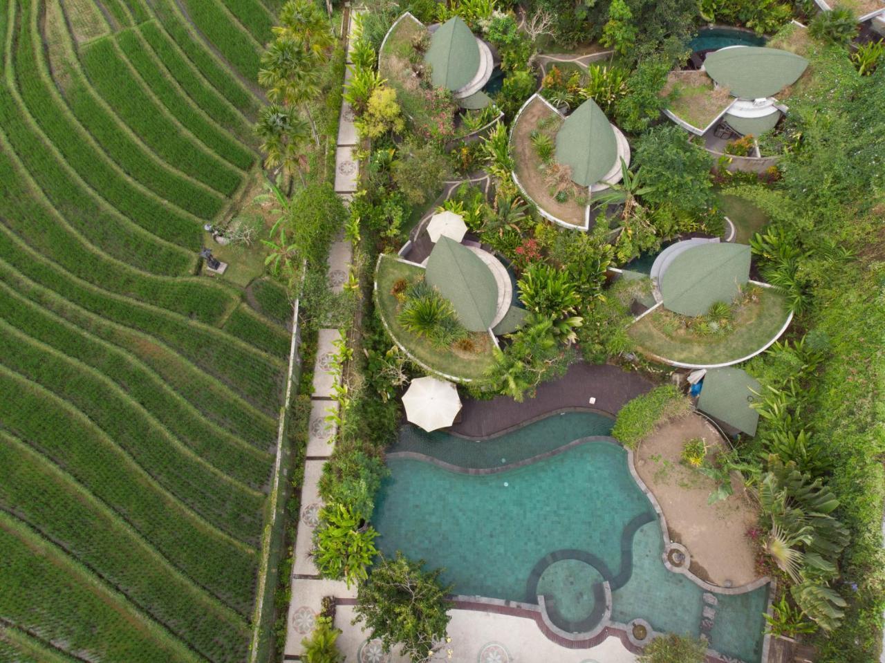 De Moksha Eco Friendly Boutique Resort Tanah Lot Zewnętrze zdjęcie